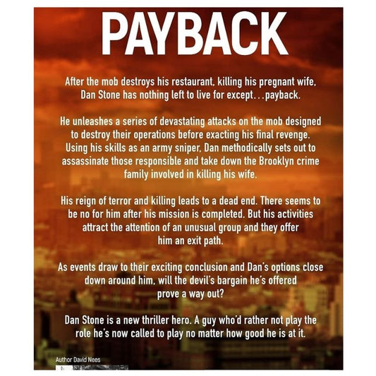 Payback (Assassin Series) Paperback