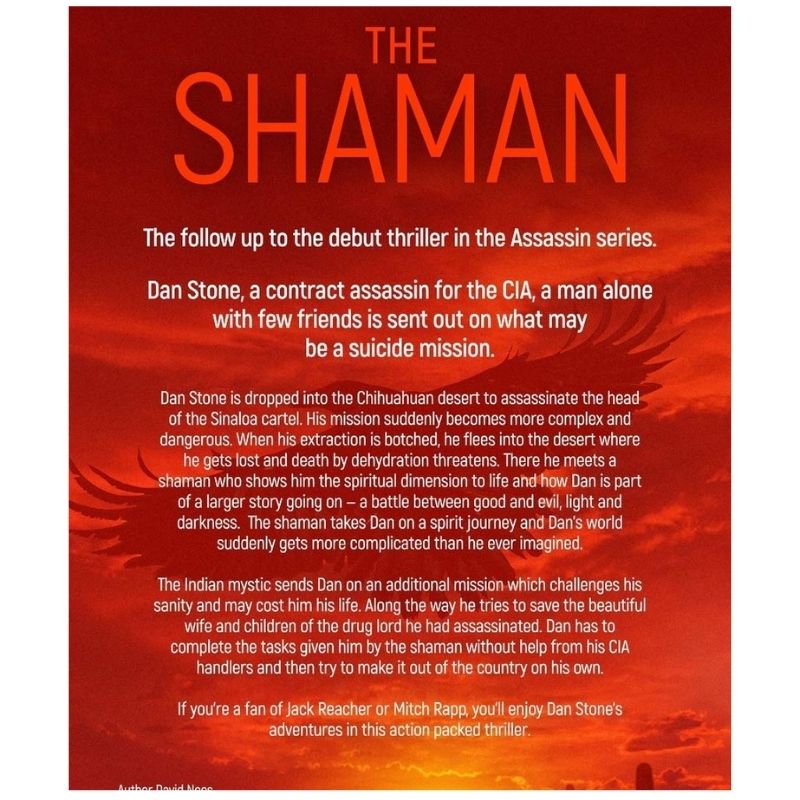 The Shaman: Book Two in the Dan Stone Series Paperback