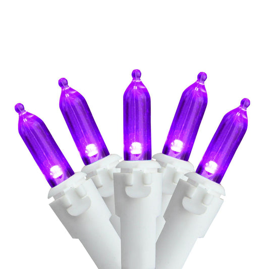 Set of 50 purple LED Christmas lights