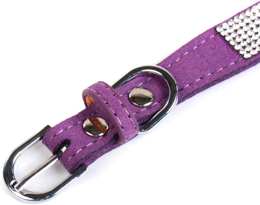 Crystal Dog Collar with Bow, 11-13 inch, Purple