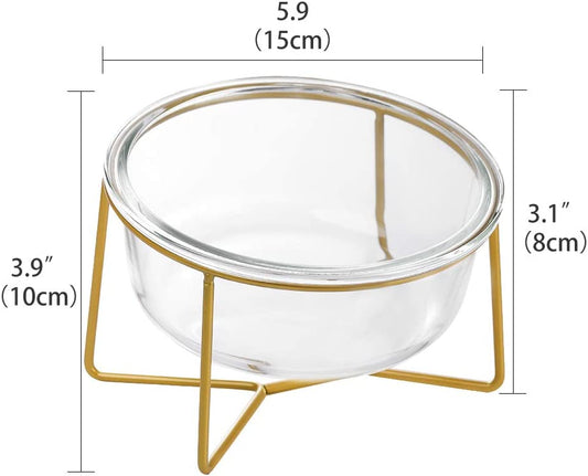 Small Slanted Glass Cat Dog Bowl with Gold Iron Stand