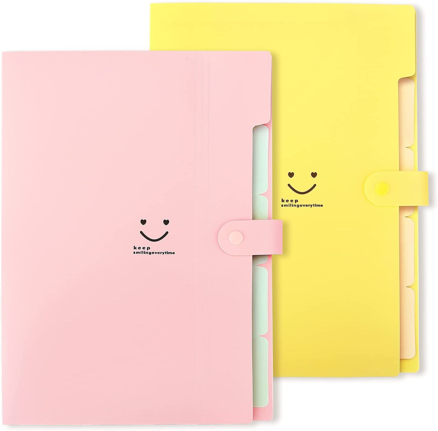 Expandable File Folders, Letter / A4 Size, Pack of 2.