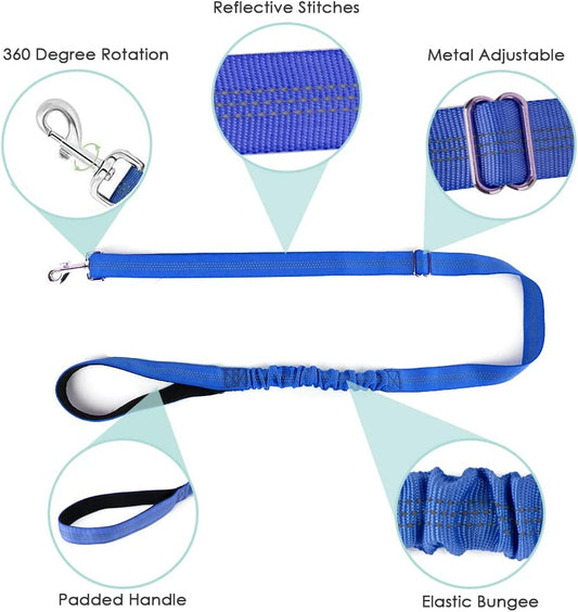 Pet Walking Harness and Leash, S (Chest 17.5'' ~ 22'') Blue