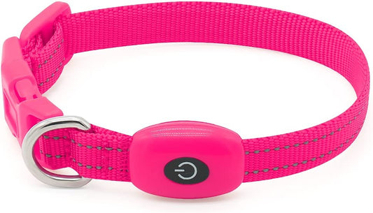 Small LED Dog Collar (Color: Pink)