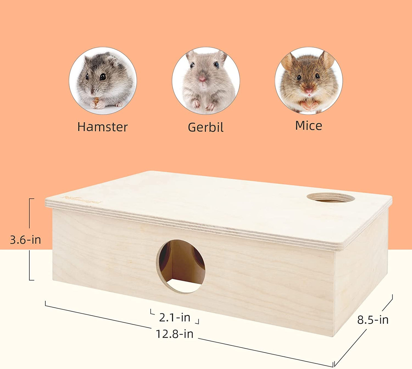 Multi-Room Maze House for Small Rodent Pets, 6-Room Small