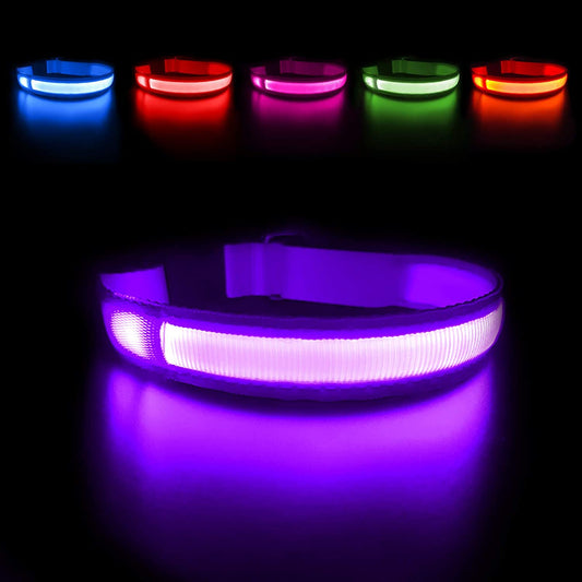 USB Rechargeable LED Glow Necklace (Color: Purple)