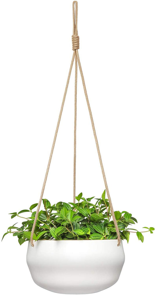 8 Inch Ceramic Hanging Planter for Indoor Plants Modern Outdoor Porcelain