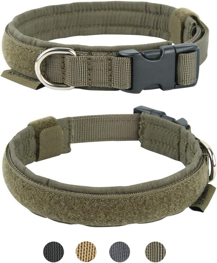 Adjustable nylon pet collar for small pets, Ranger Green