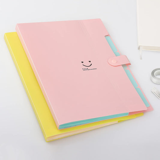 Expandable File Folders, Letter / A4 Size, Pack of 2.