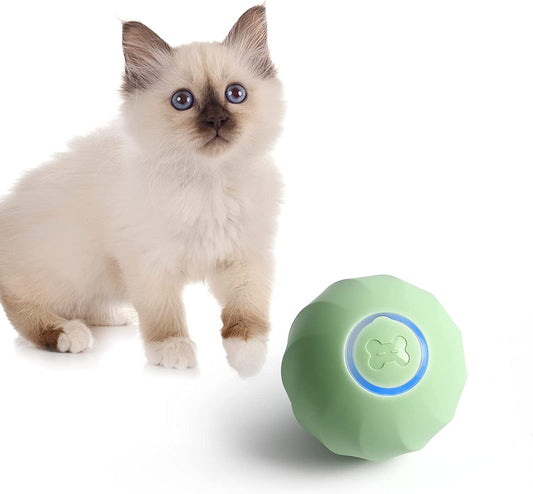 Interactive Pet Balls with USB Charge