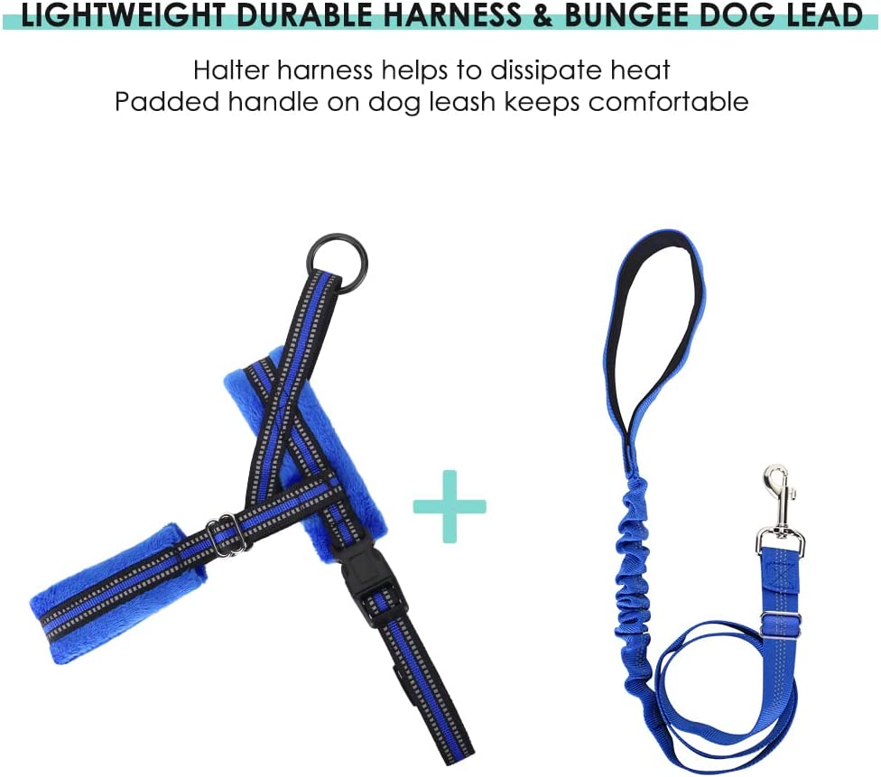 Pet Walking Harness and Leash, S (Chest 17.5'' ~ 22'') Blue