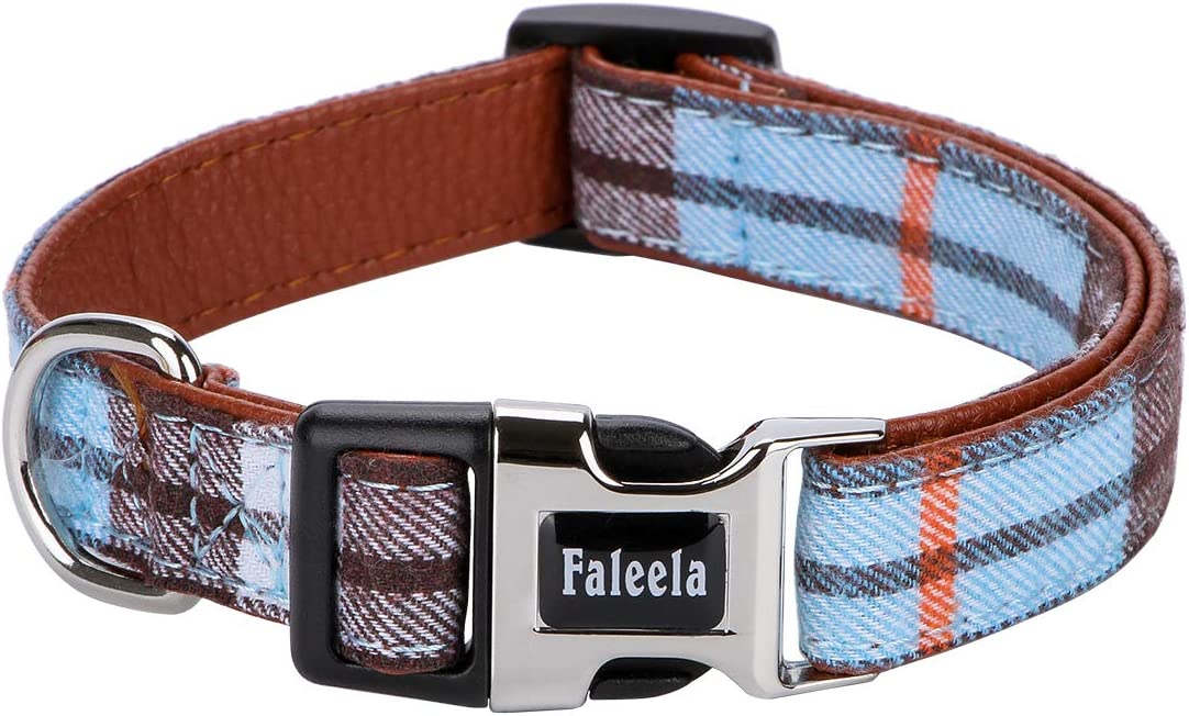 Medium Pet Collar, Blue