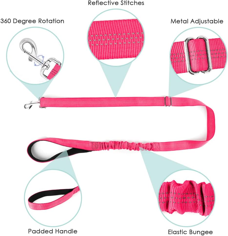 Pet Walking Harness and Leash, S (Chest 17.5'' ~ 22'') Pink