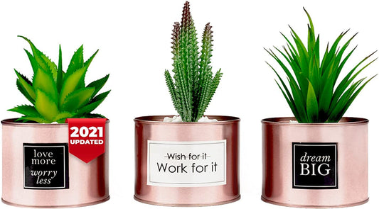 Women's Desk Plant Decoration