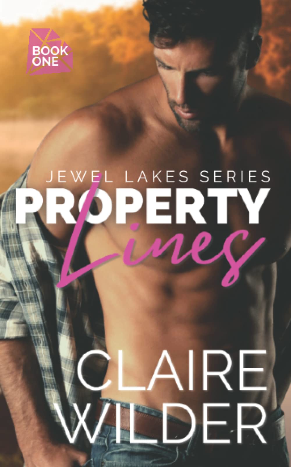 Property Lines: A Forbidden Small Town Romance - Paperback