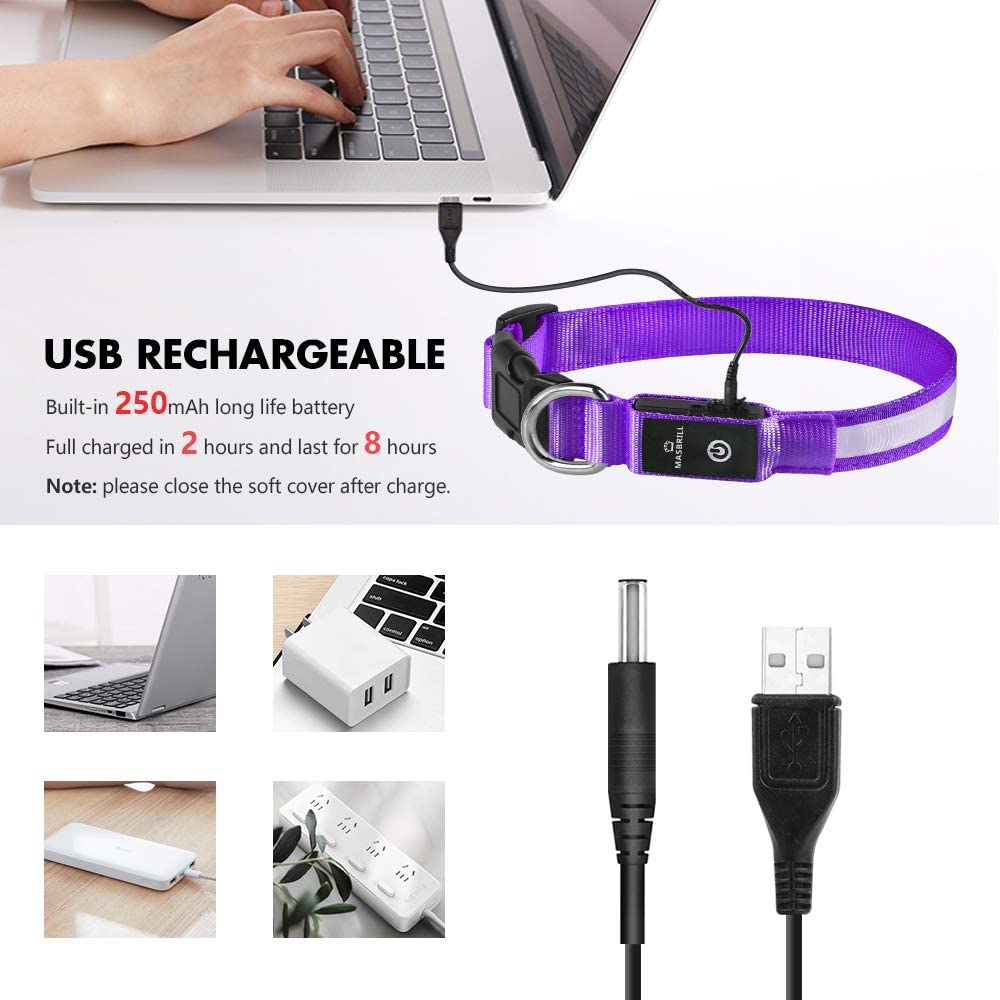 USB Rechargeable LED Glow Necklace (Color: Purple)