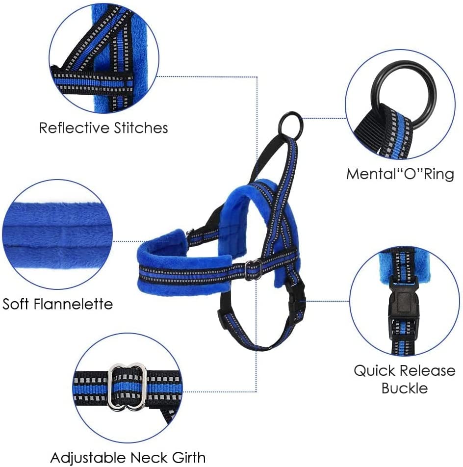 Pet Walking Harness and Leash, S (Chest 17.5'' ~ 22'') Blue