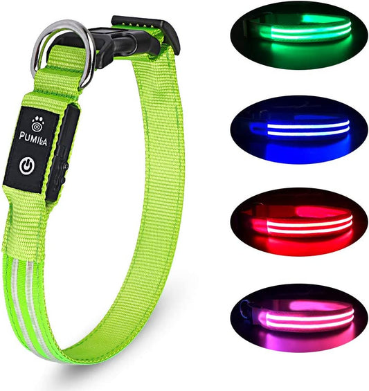 LED dog collar with flashing light, Colour: Green