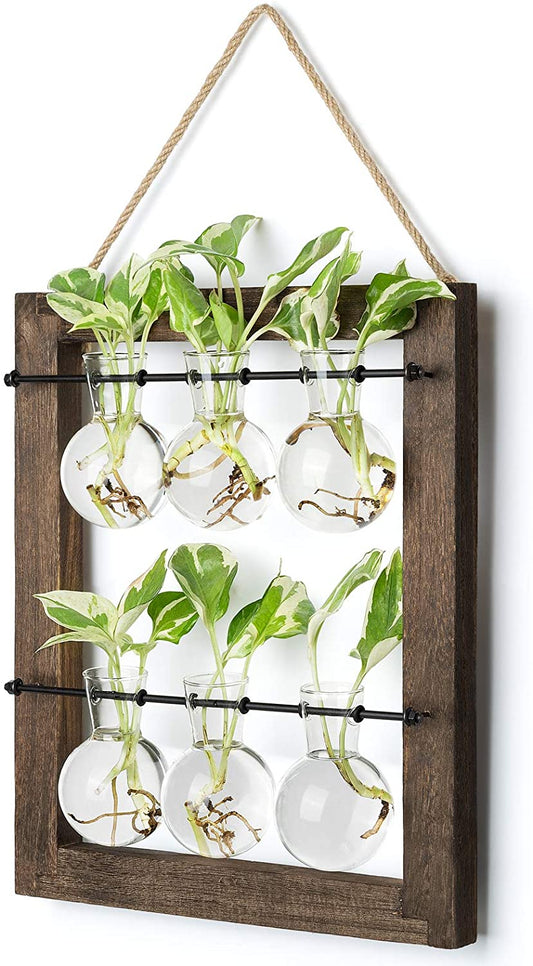 Double Layer Wall Hanging Glass Planter Propagate Station