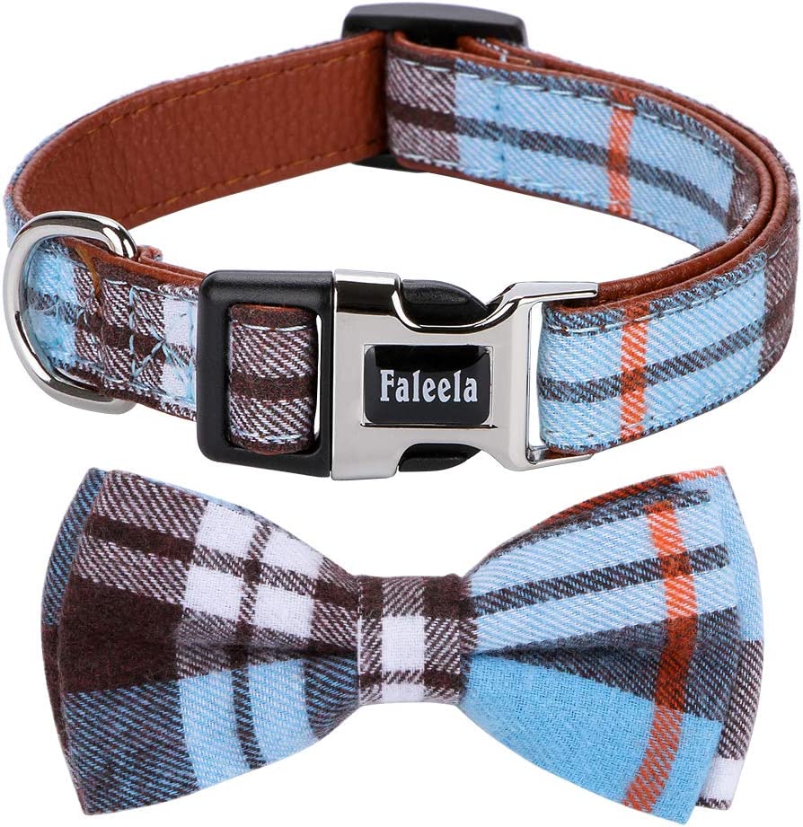 Medium Pet Collar, Blue