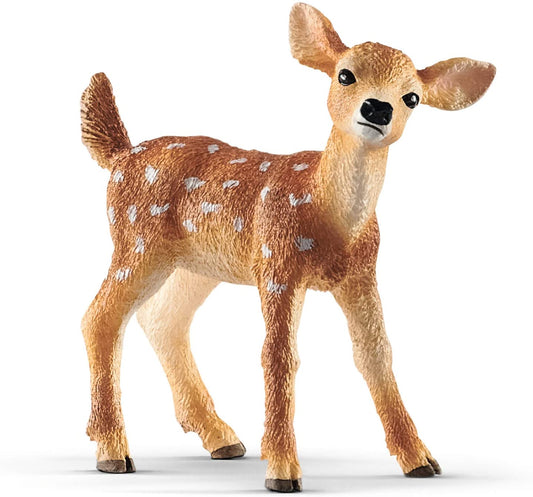 White-Tailed Fawn Like Bamby