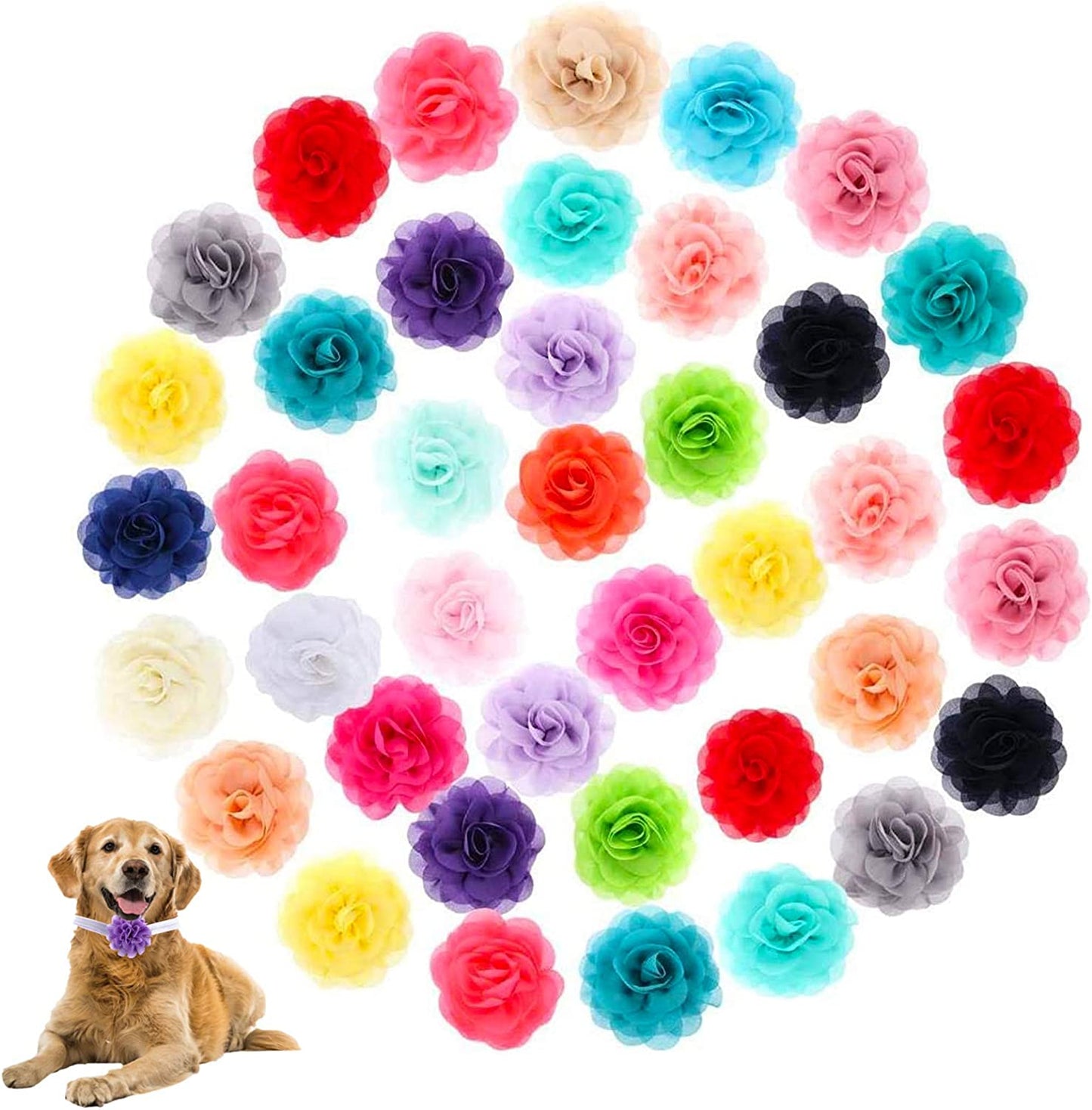 Pet Flower Collar 40 Pieces Multi Color