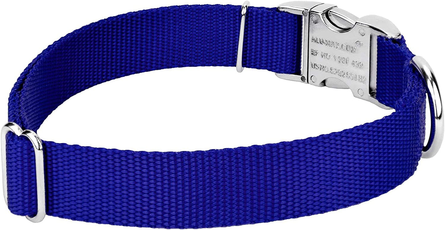 Premium nylon pet collar with metal buckle, Bright Royal Blue