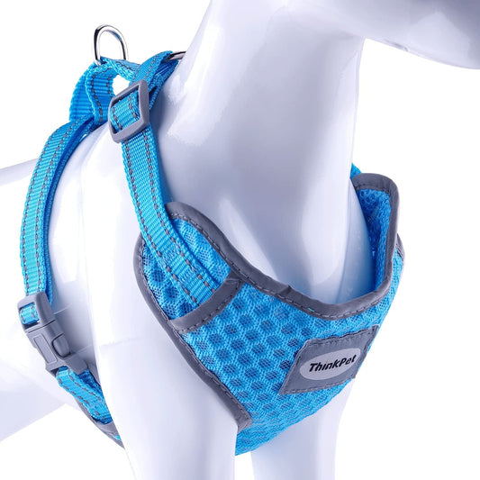 Ventilation Harness for Pets, Neon Blue, X-Large