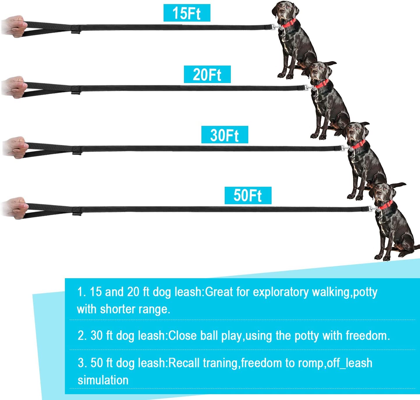 15ft, 20ft, 30ft, 50ft long leash for pet training,black