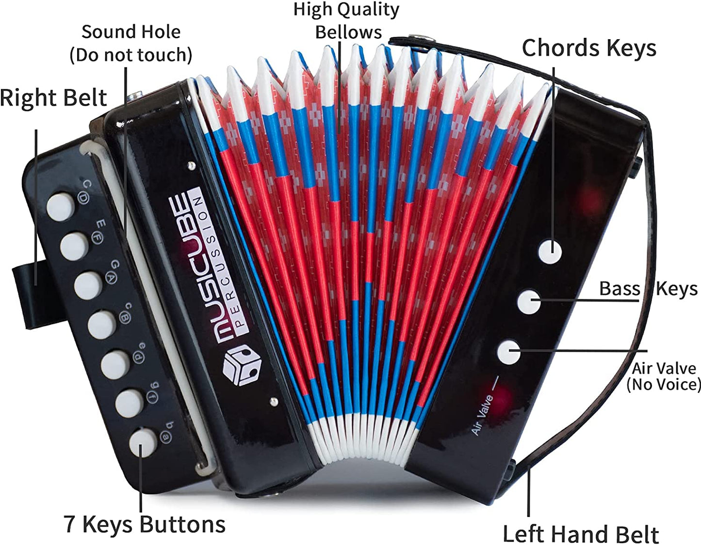 Small accordion for children's musical instrument colour:black