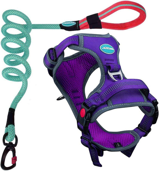 Adjustable Sport Harness Set & 5' Reflective Leash, Purple (L)