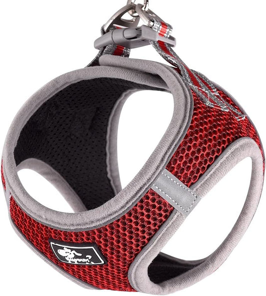 Pet Harness and Leash, Red (S)