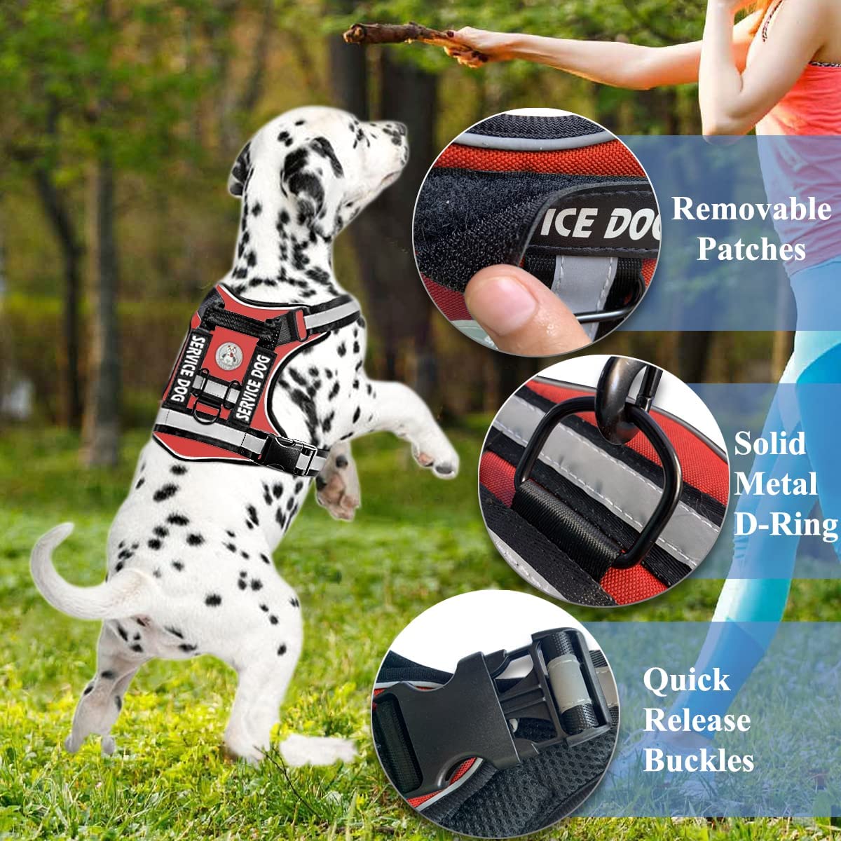 Hands-Free Pet Service Harness, Medium (Red)