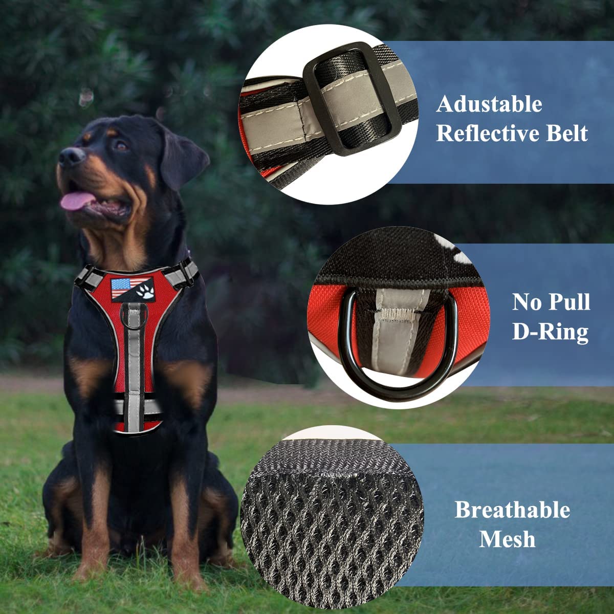 Hands-Free Pet Service Harness, Medium (Red)