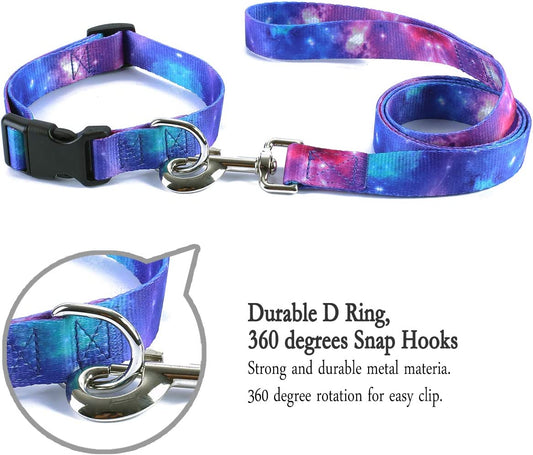 Set of 2 Pet Collars and Fun Leash, Size l, Galaxy