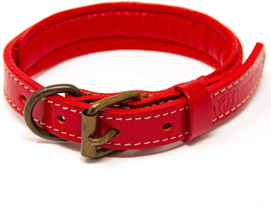 Padded Dog Collar, Small, Fits 10"-12" Necks, Colour: Red