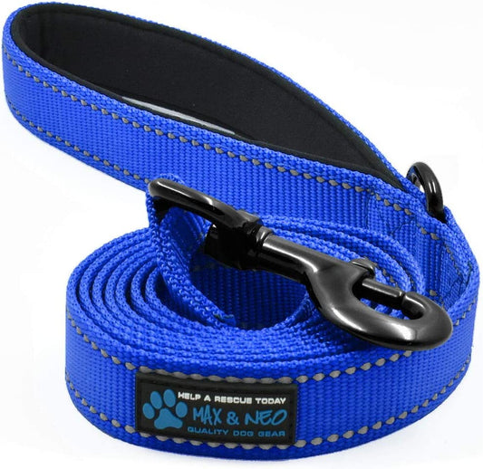 Reflective Nylon Dog Leash (color:  blue   6 ,5,8)