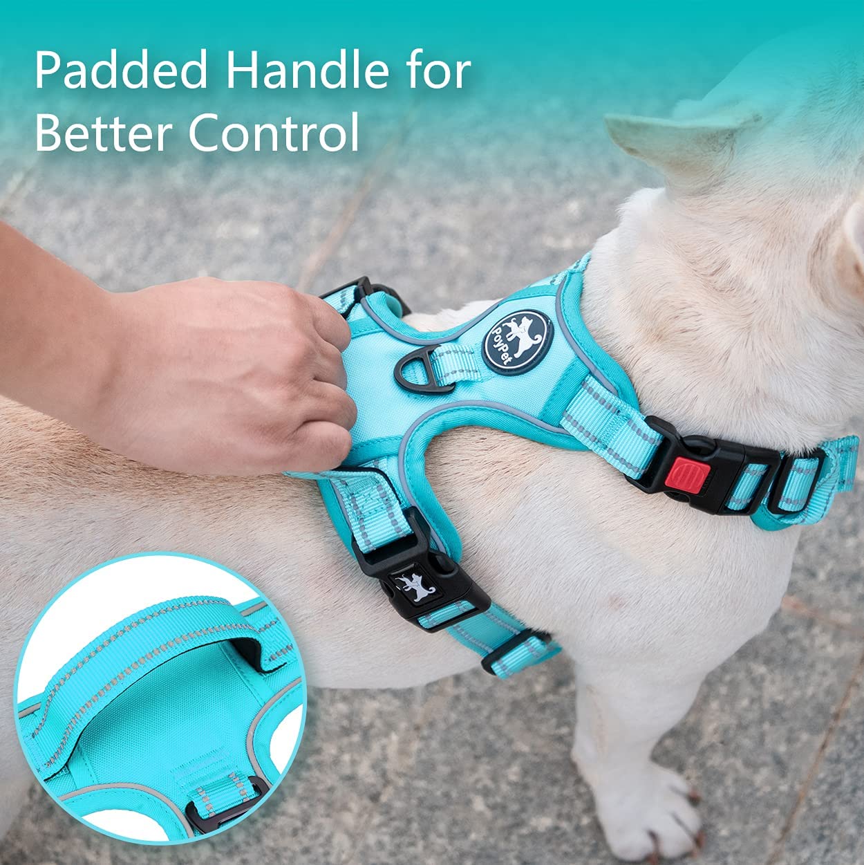 Reflective Adjustable No Pull Pet Harness, Mint Blue Full (L)