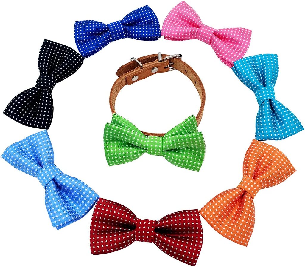 Pet bow accessory, 8-piece, Dot