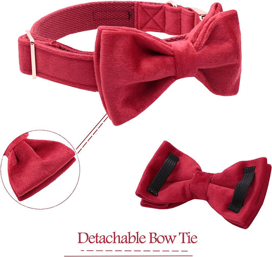 Velvet pet collar with detachable bow, size l, Red