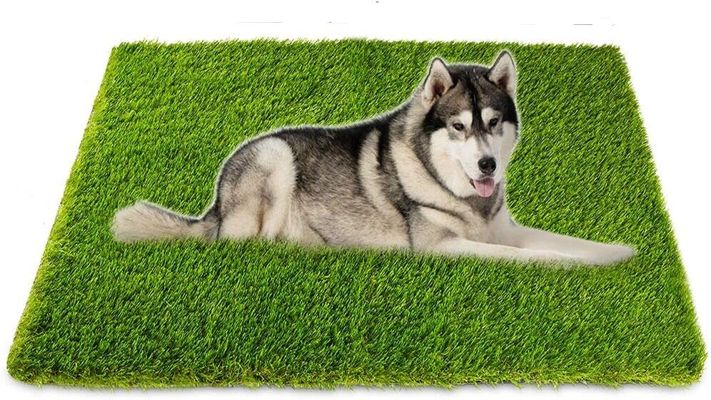 Artificial Grass Pet Potty Mat (32" x 48")