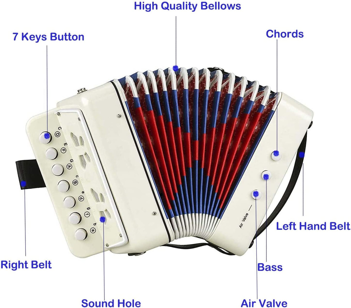 10-key diatonic accordion for solo and ensemble