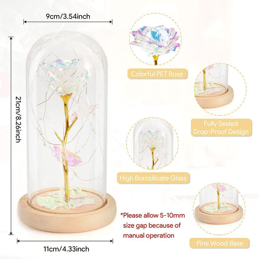 Rose in dome with LED light for Valentine's Day, Colorful