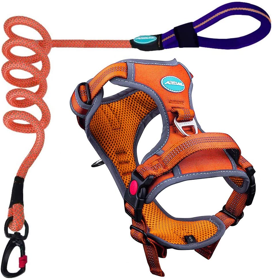 Adjustable Sport Harness Set & 5' Reflective Leash, Orange (XL)