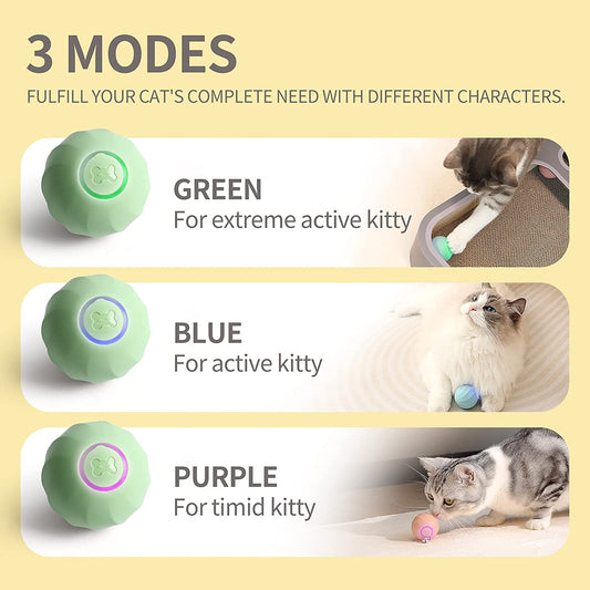 Interactive Pet Balls with USB Charge