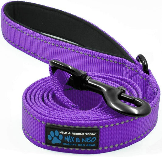 Reflective Nylon Dog Leash (color: purple, 6 ,5,8)