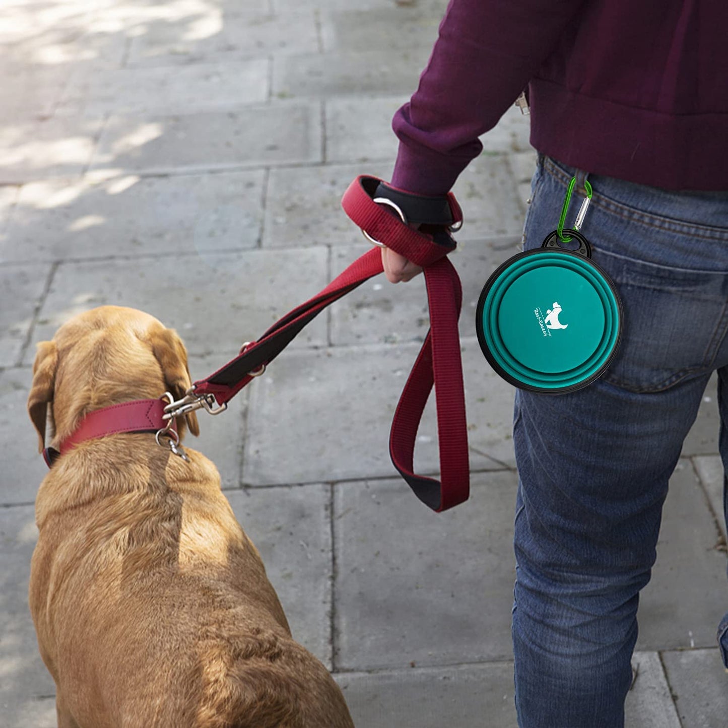 2-Pack portable pet water bowls (green and blue)