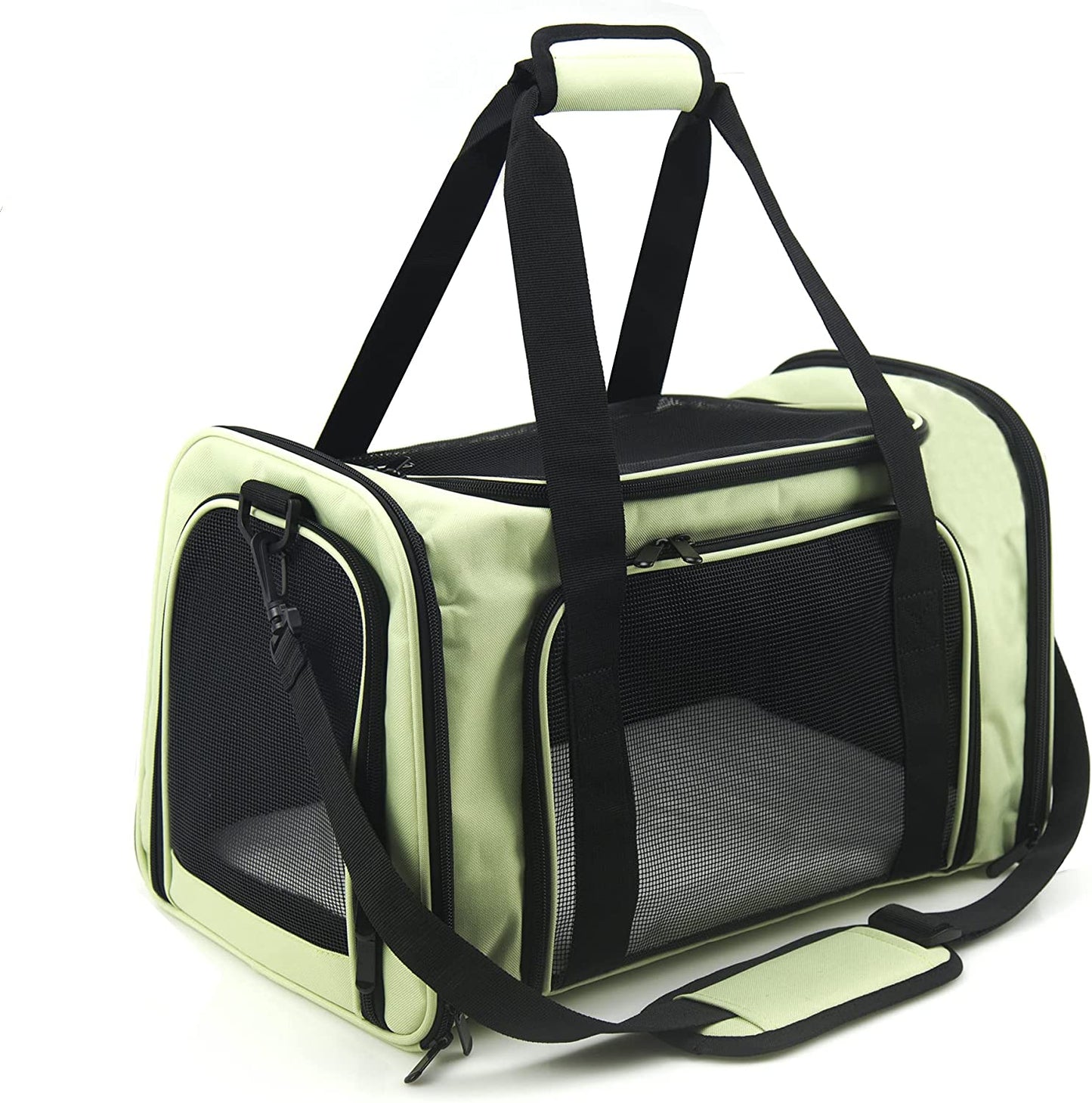 Soft Sided Carrier for Small and Medium Pets, Green