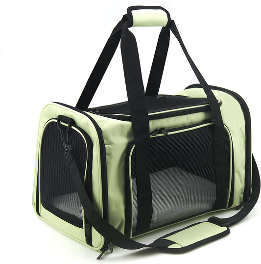 Soft Sided Carrier for Small and Medium Pets, Green