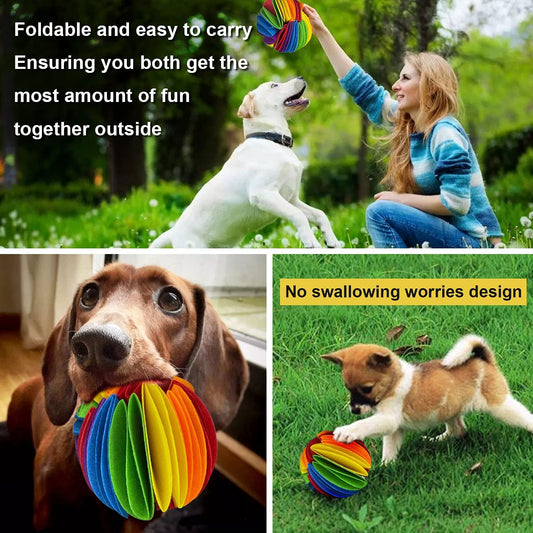 Olfactory interactive ball for pets, plush, medium, rainbow